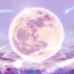 鈴子（りんこ）先生